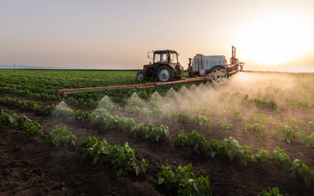 Pest Control Cost in Castle Hills, TX