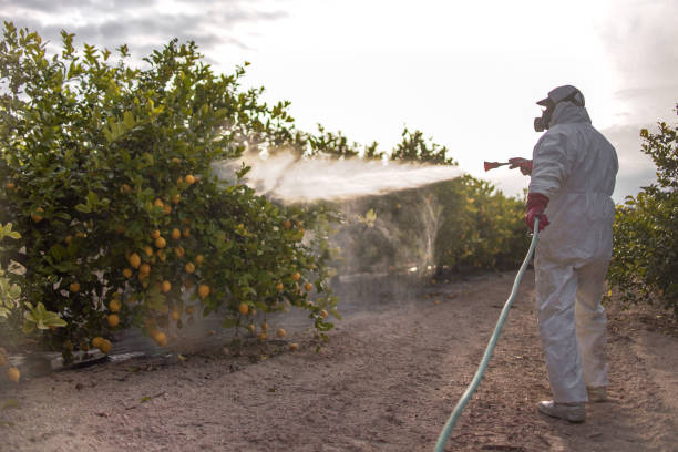 Castle Hills, TX Pest Control Company