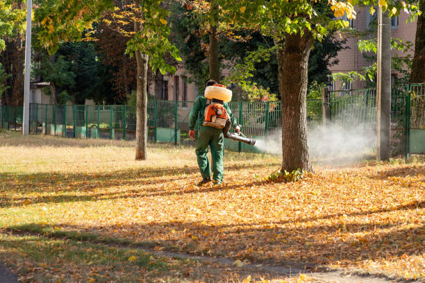 Best Exterminator Services  in Castle Hills, TX