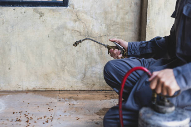 Best Pest Inspection Near Me  in Castle Hills, TX